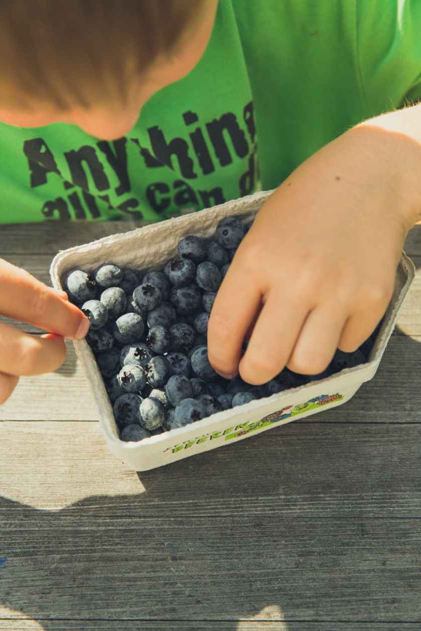 boy picking on blueberries in cardboard box